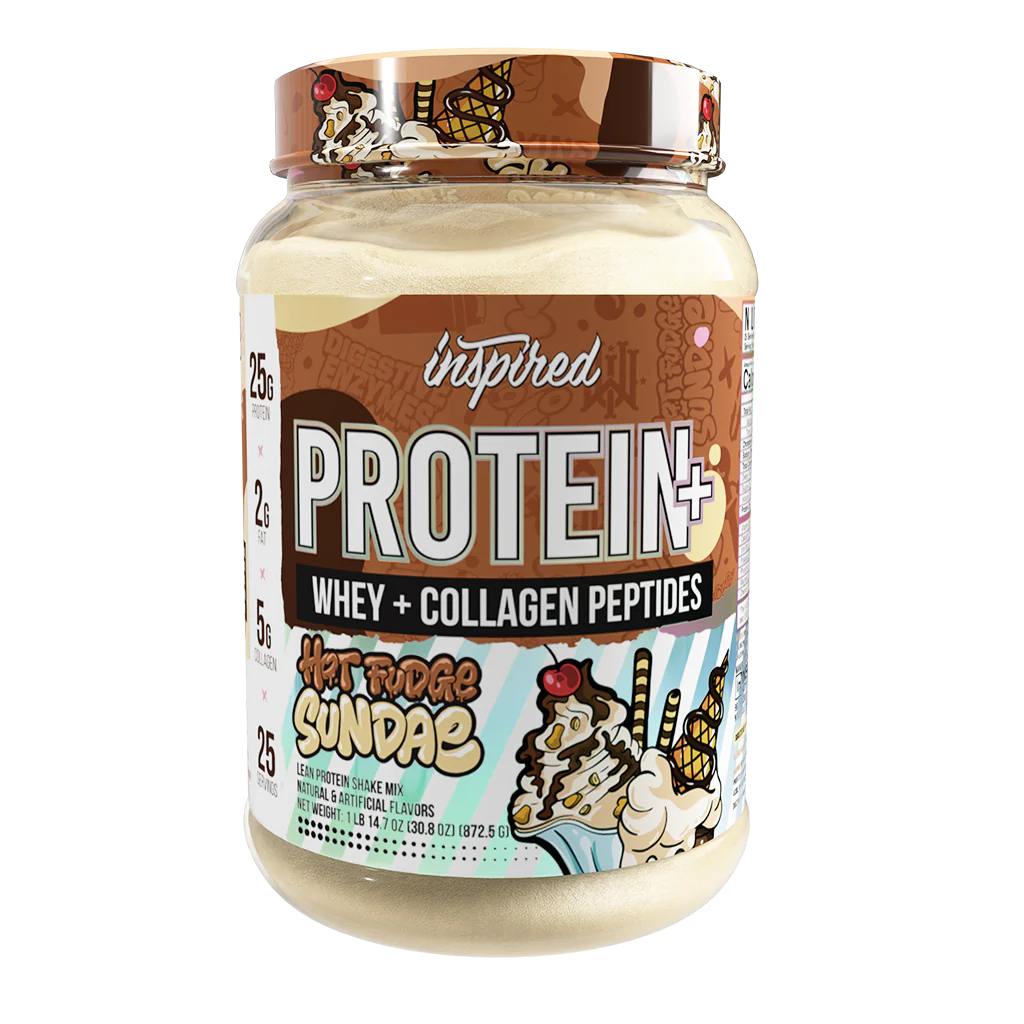 PROTEIN+